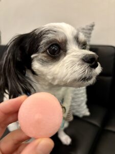 チップ　マカロン